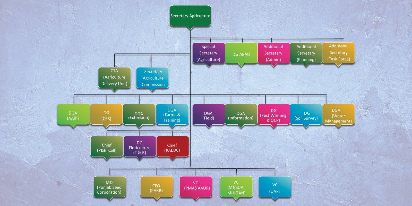 Agriculture Department Punjab - Organogram