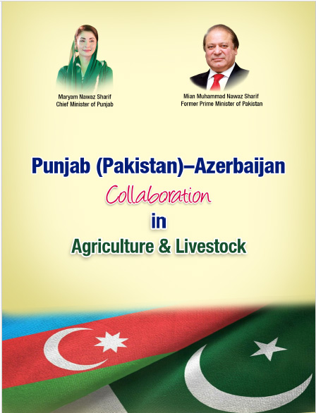 Azerbaijan Report