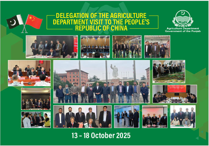 China Report