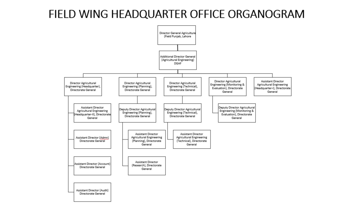 Field Organogram