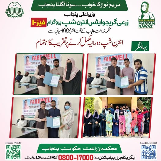 CM Internship Program