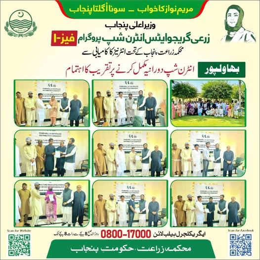 CM Internship Program