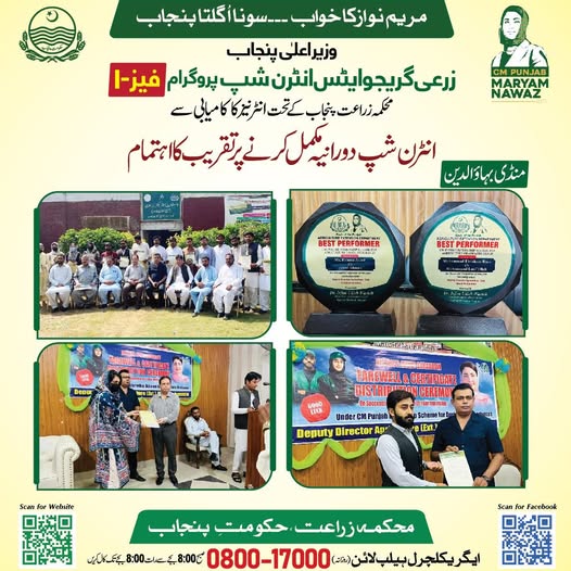 CM Internship Program