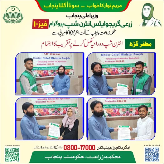 CM Internship Program