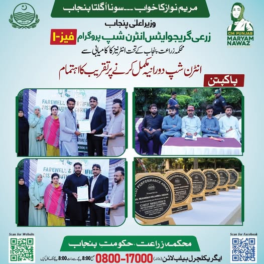 CM Internship Program