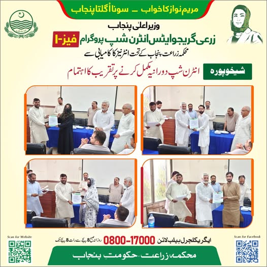 CM Internship Program