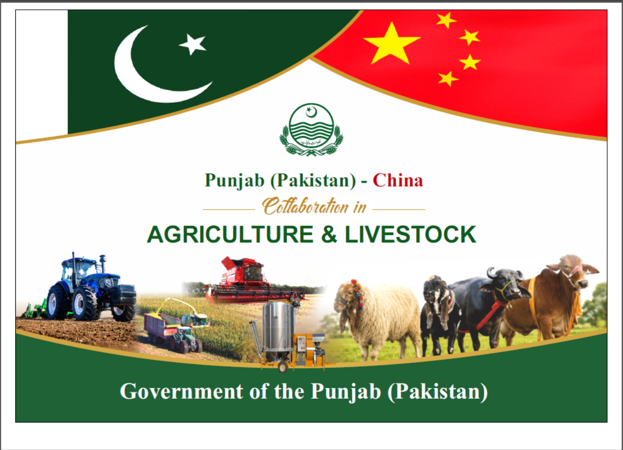 Punjab China Report