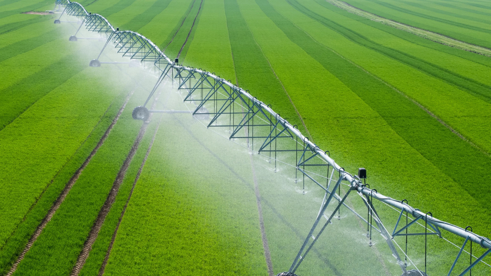 Central Pivot Irrigation System