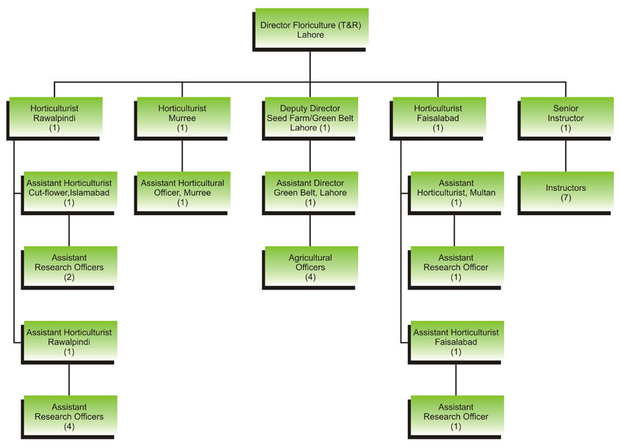 Floriculture - Organogram