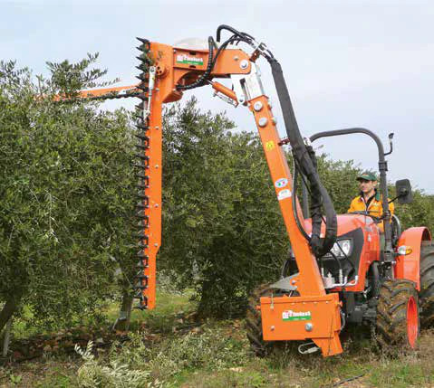 orchard-pruner