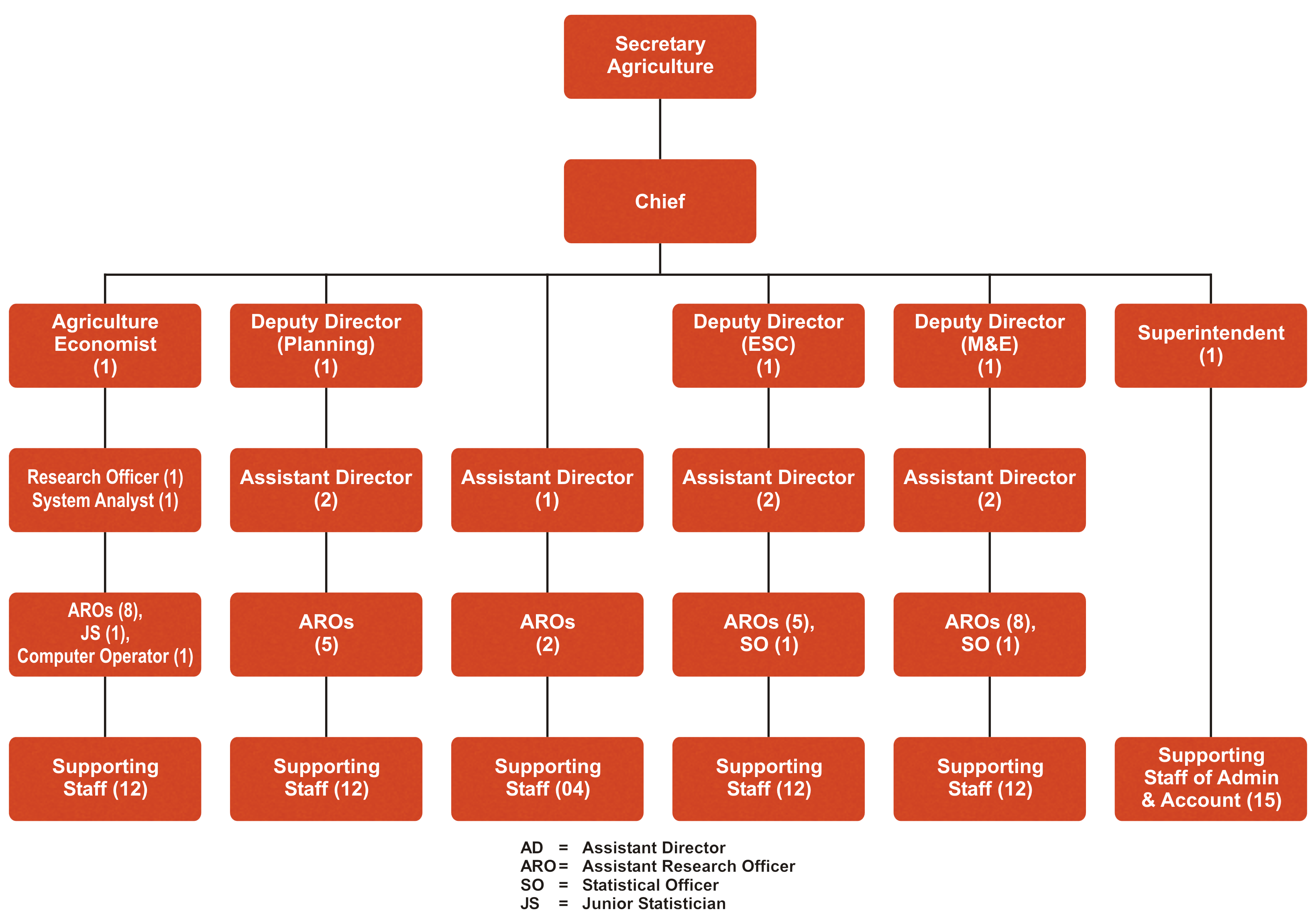PECELL Organogram