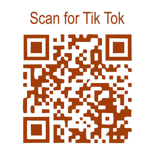 tiktok feed