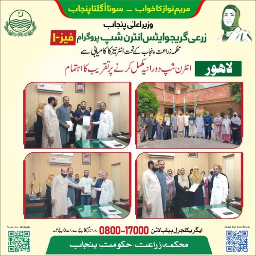 CM Internship Program