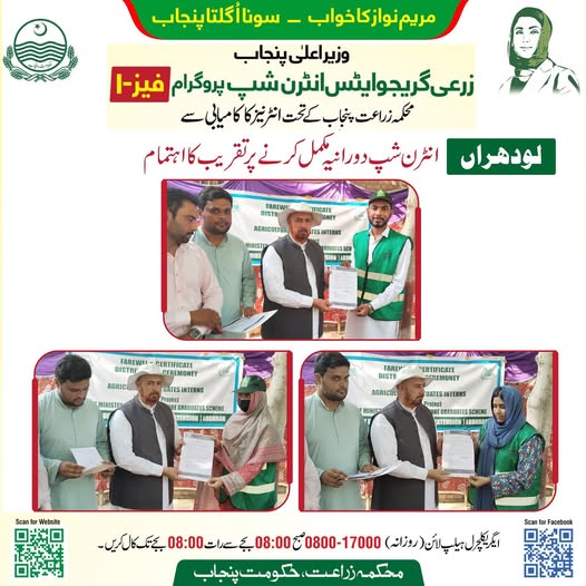 CM Internship Program