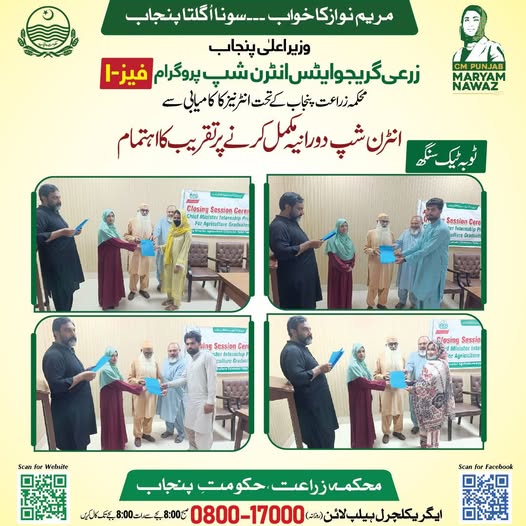 CM Internship Program