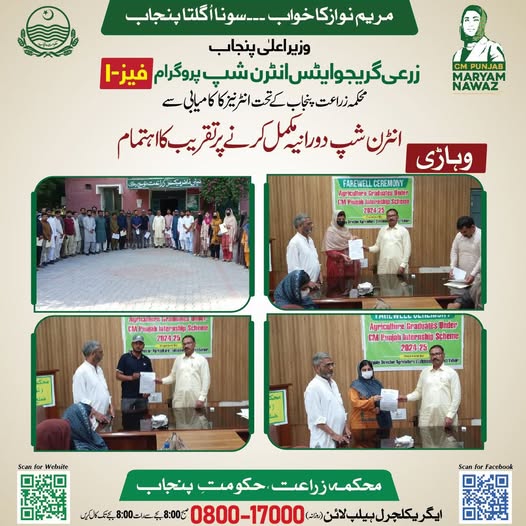 CM Internship Program